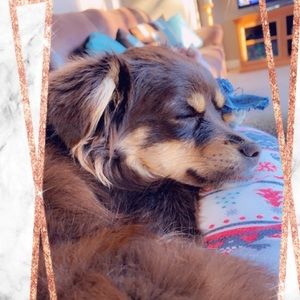 Meet your Posher, Debbie